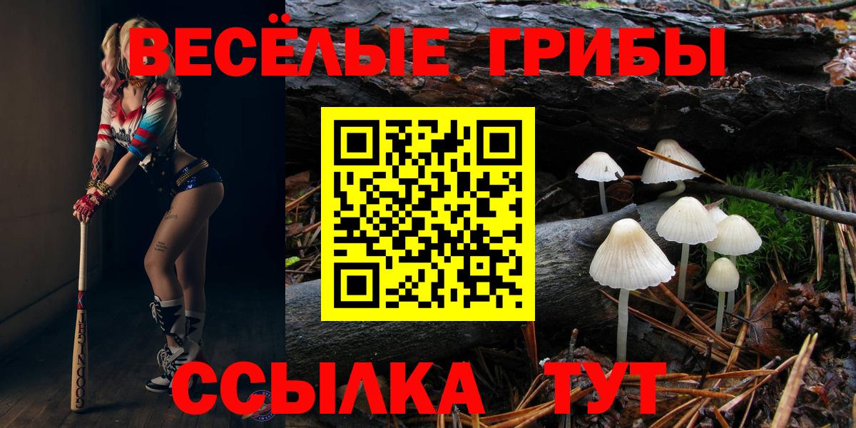 Галлюциногенные грибы мухоморы Самара